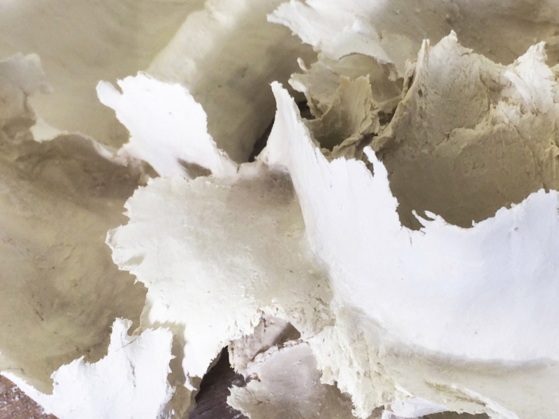 Vegetale Detail